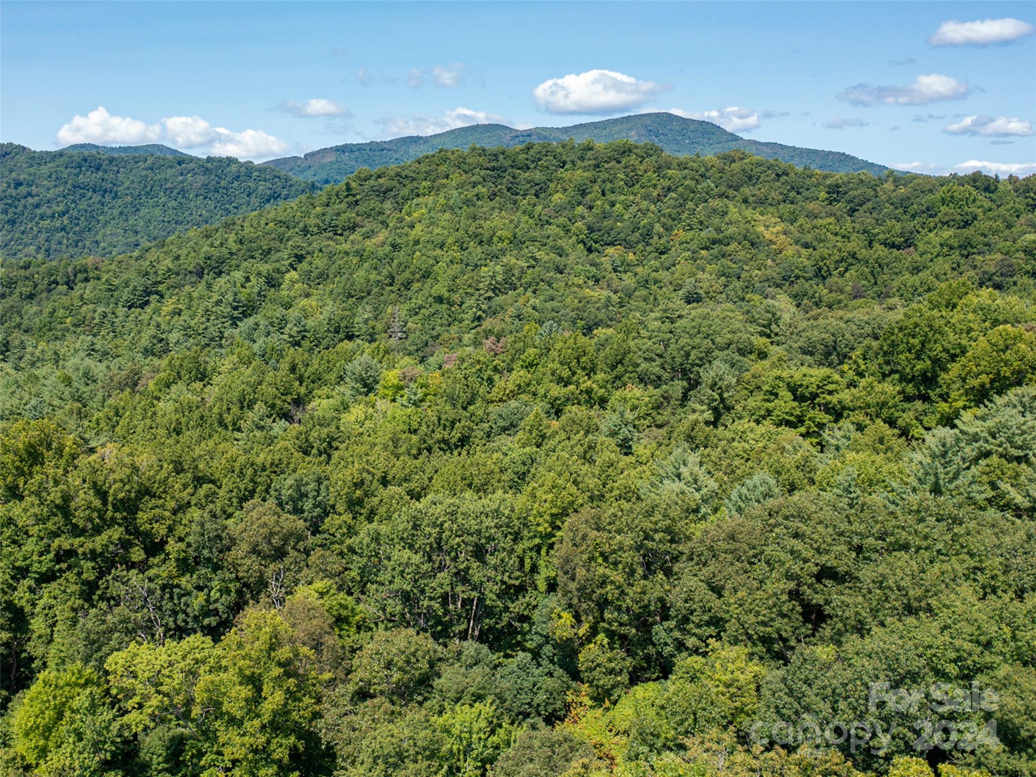 00000 Meadow Fork School Road Hot Springs NC 28743