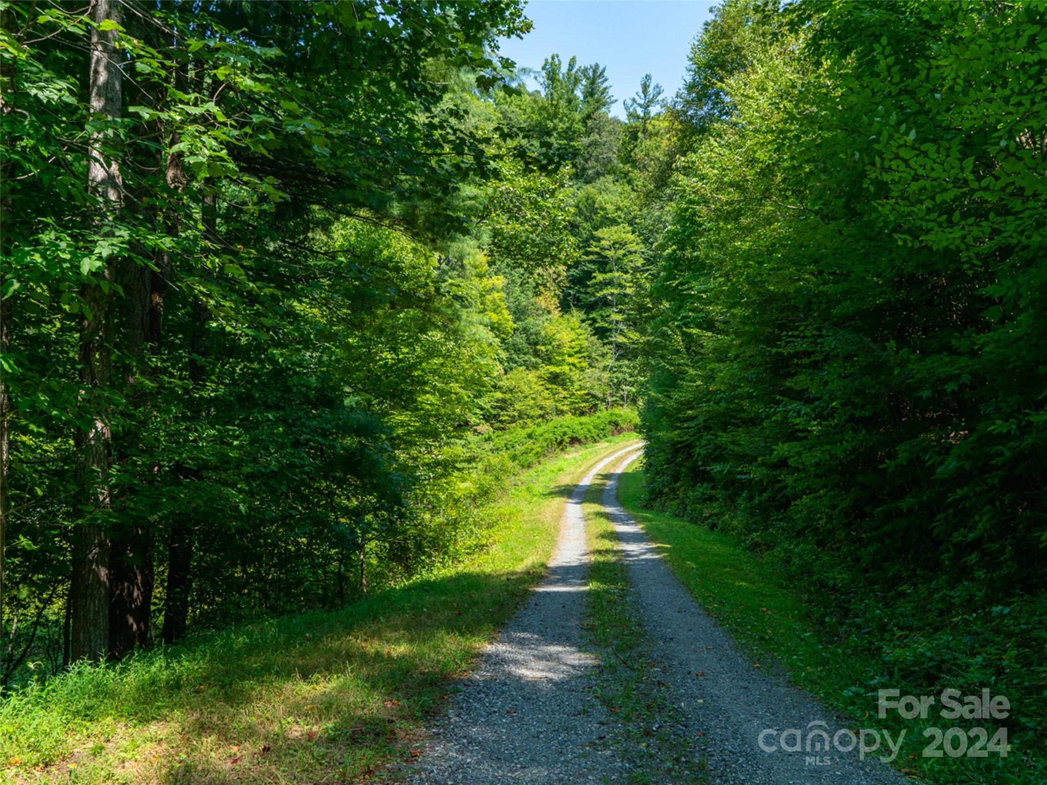 00000 Meadow Fork School Road Hot Springs NC 28743