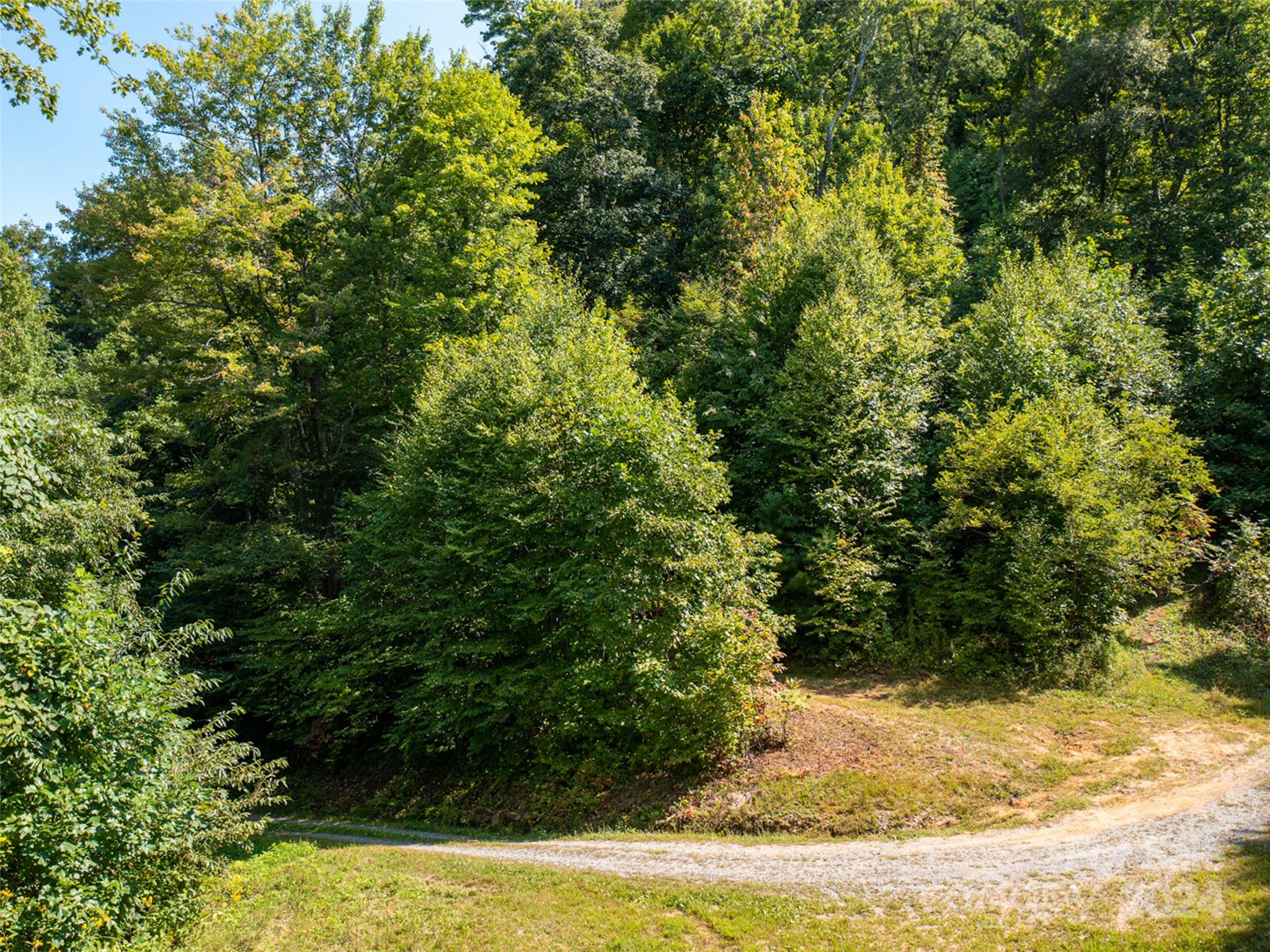 00000 Meadow Fork School Road Hot Springs NC 28743