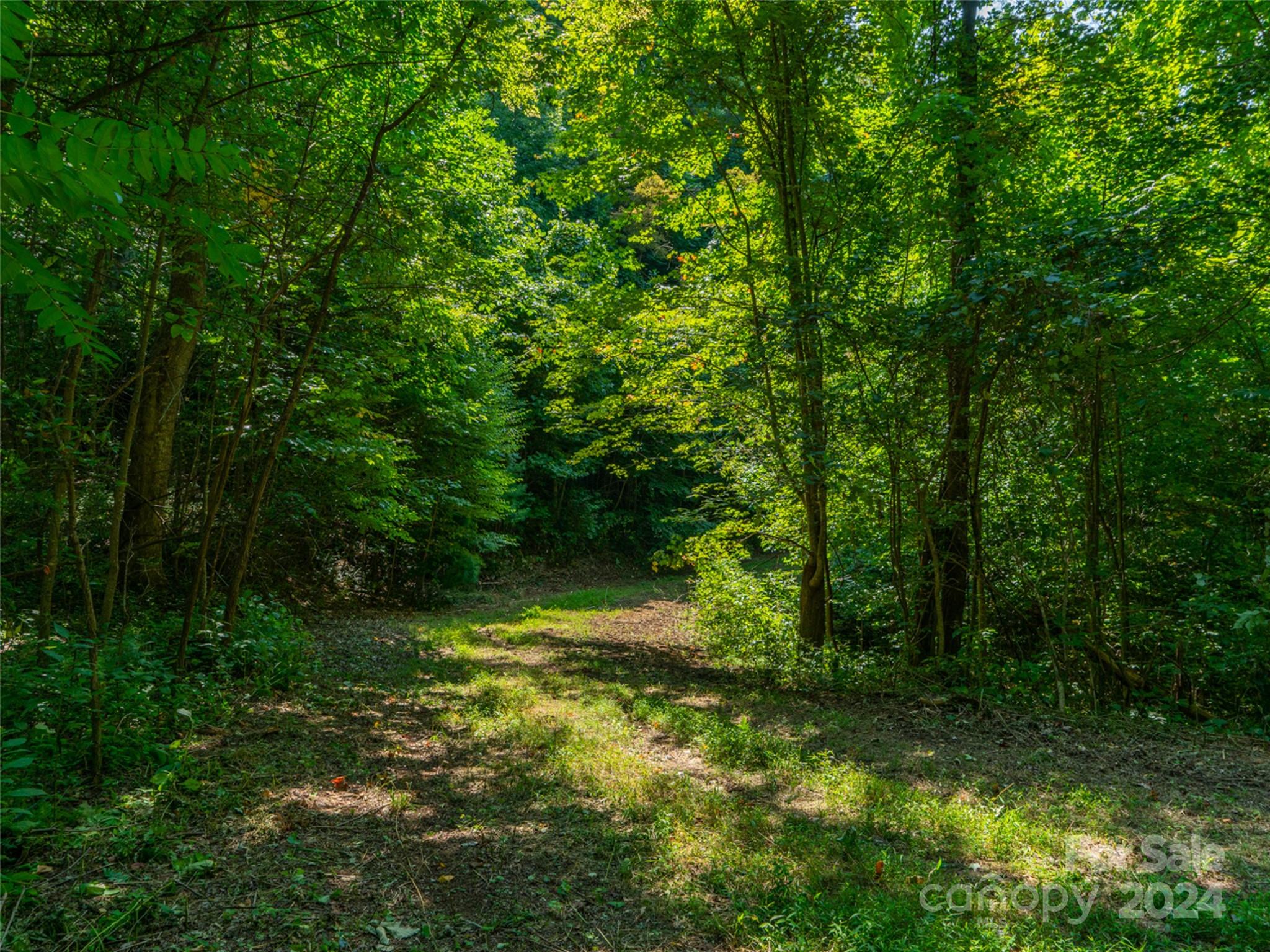 00000 Meadow Fork School Road Hot Springs NC 28743