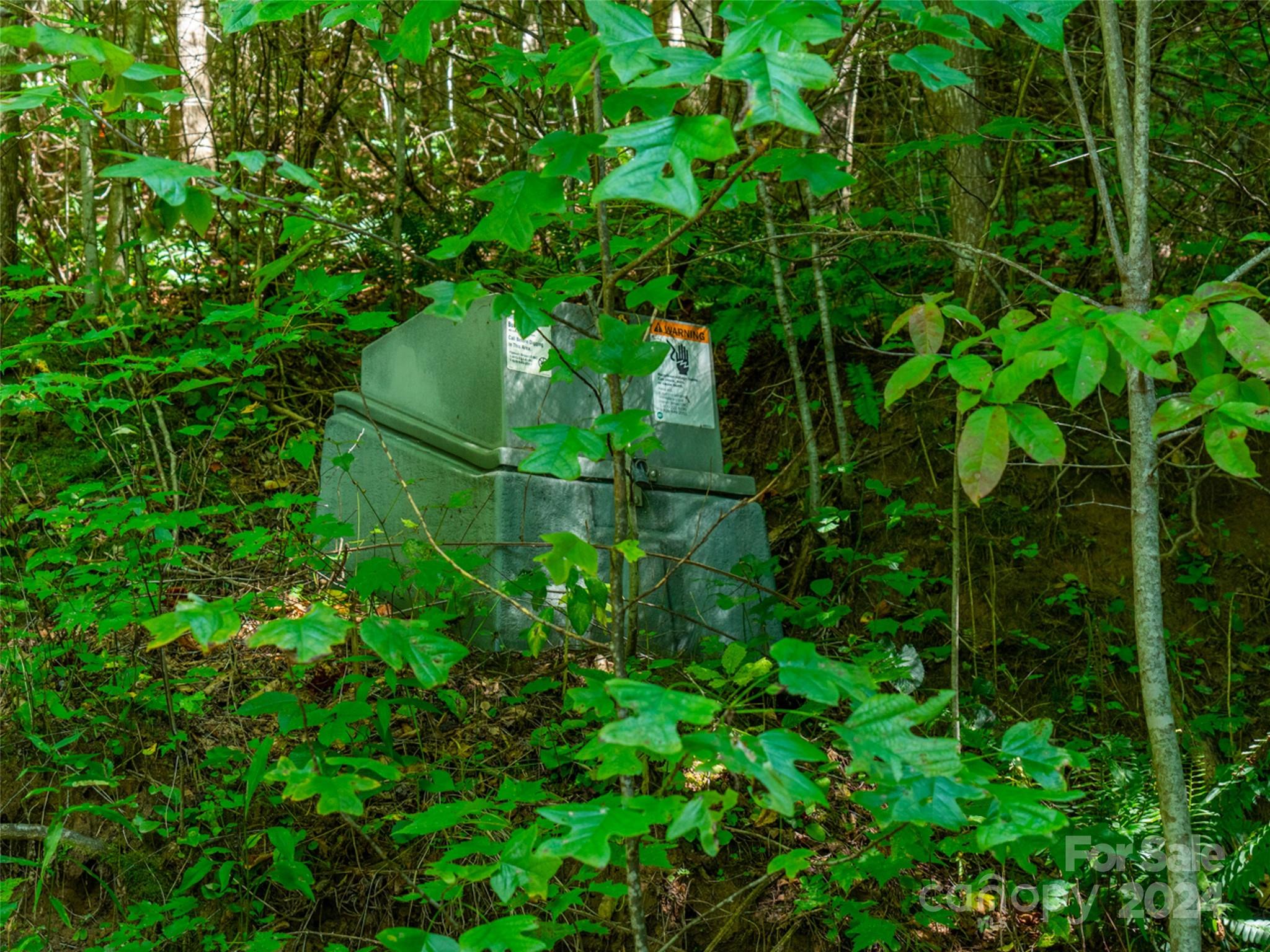 00000 Meadow Fork School Road Hot Springs NC 28743