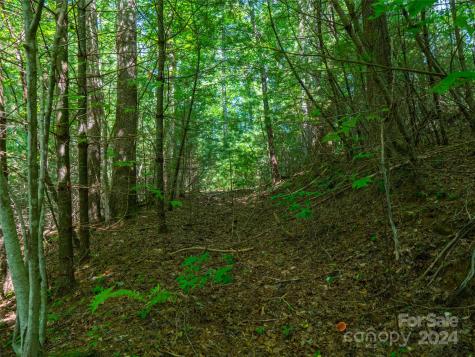 00000 Meadow Fork School Road Hot Springs NC 28743