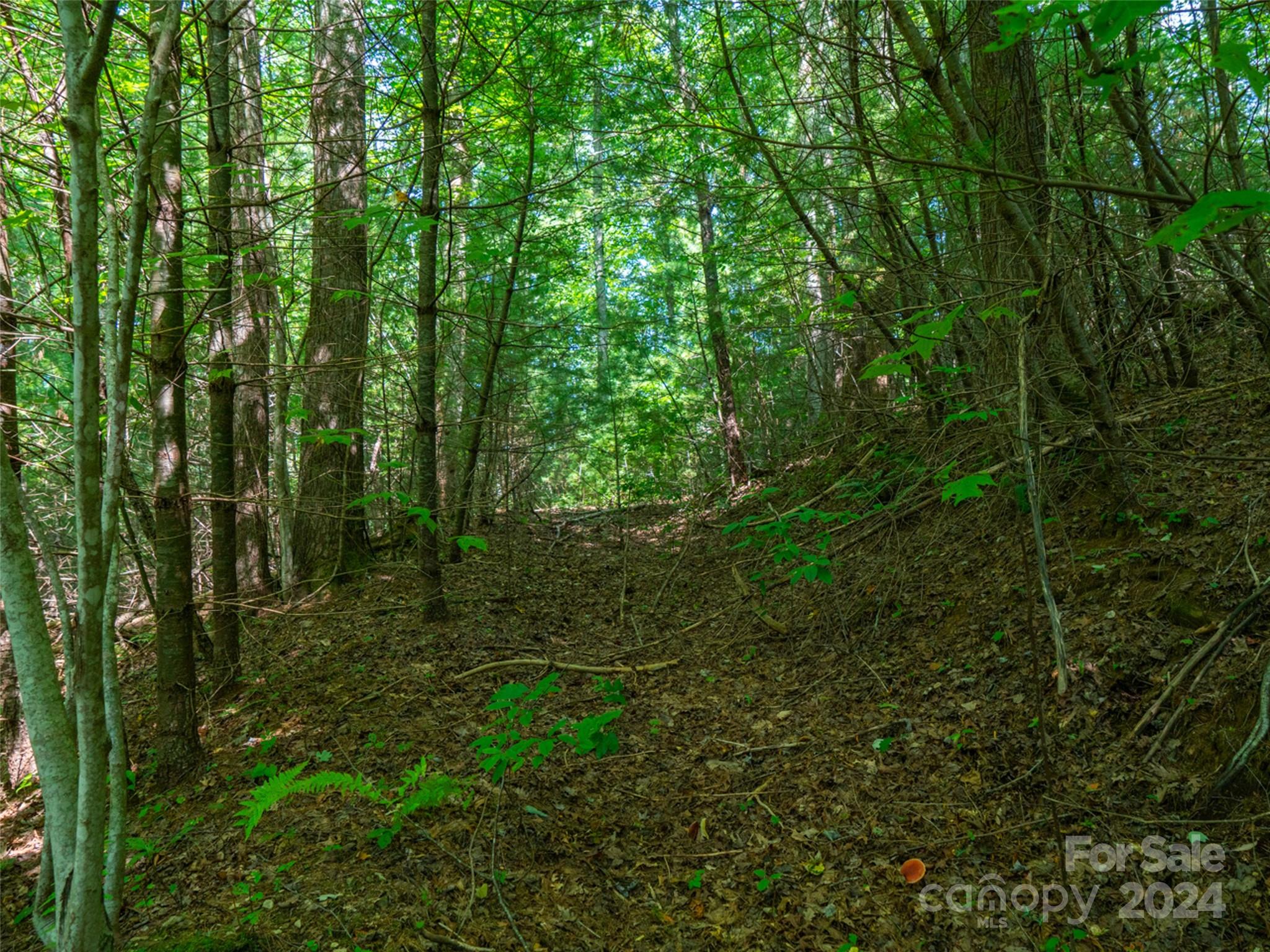 00000 Meadow Fork School Road Hot Springs NC 28743