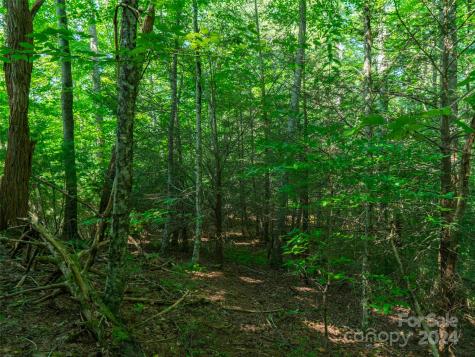 00000 Meadow Fork School Road Hot Springs NC 28743