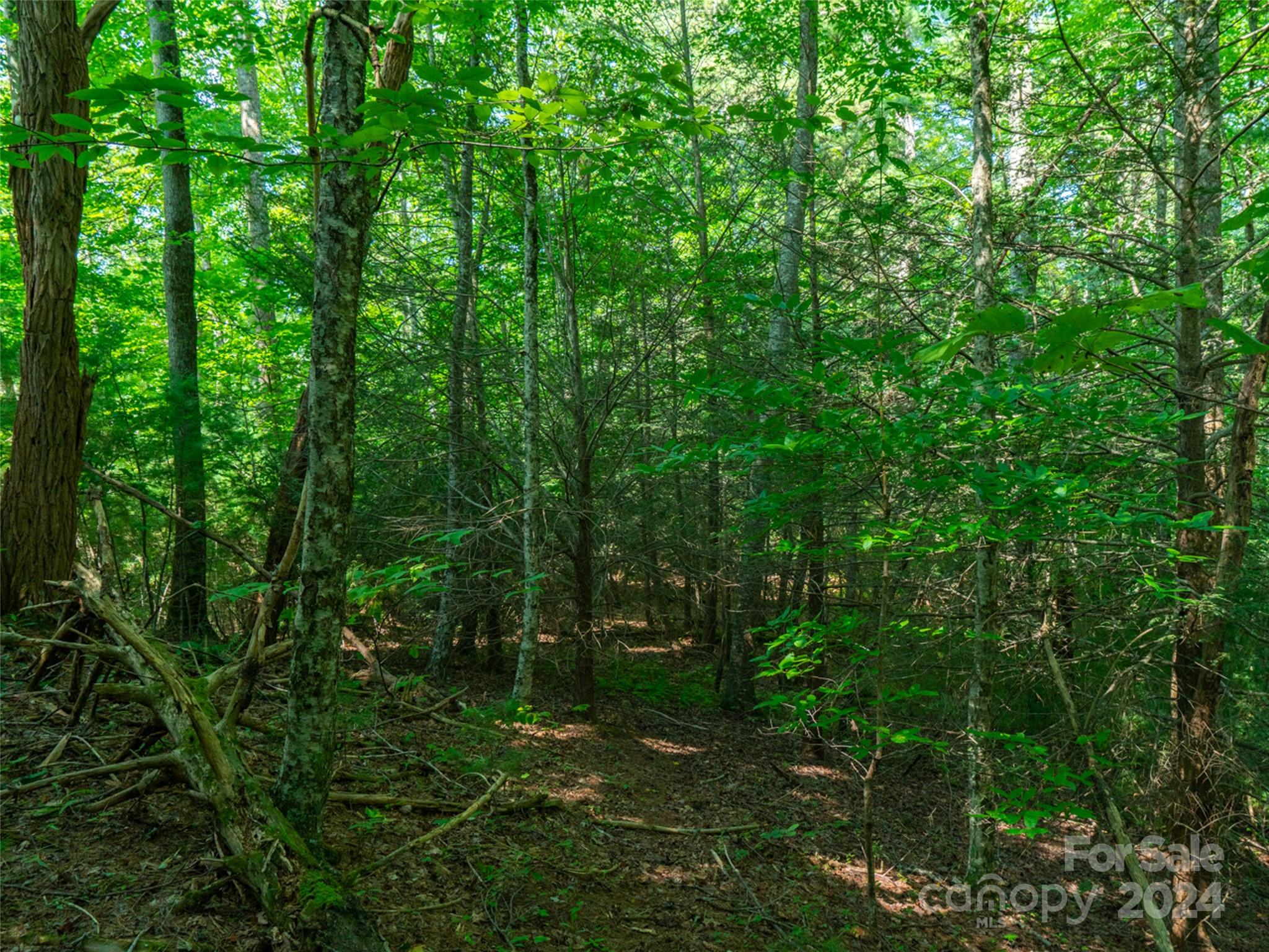 00000 Meadow Fork School Road Hot Springs NC 28743