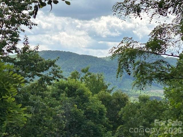0 Azule Ridge Bostic NC 28018