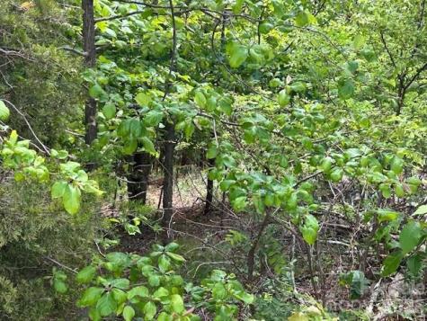 0 Azule Ridge Bostic NC 28018