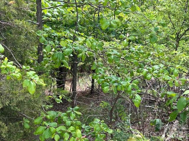 0 Azule Ridge Bostic NC 28018