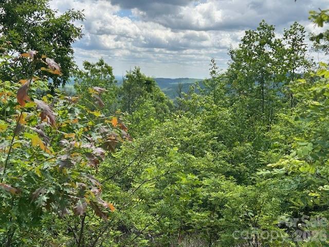 0 Azule Ridge Bostic NC 28018