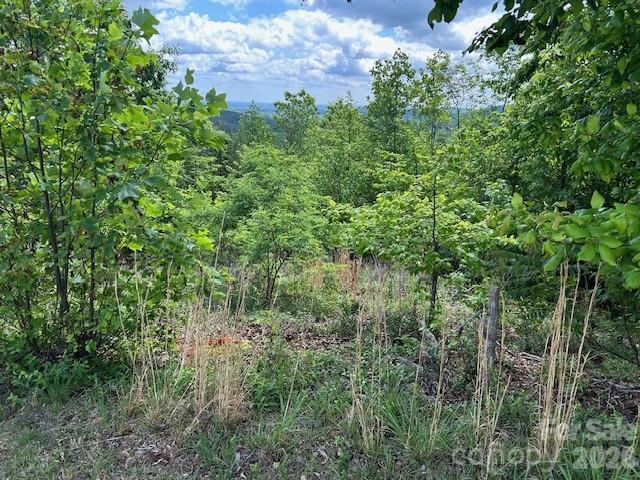 0 Azule Ridge Bostic NC 28018