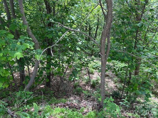 0 Azule Ridge Bostic NC 28018