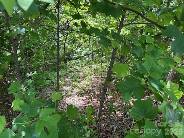 0 Azule Ridge Bostic NC 28018