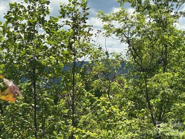0 Azule Ridge Bostic NC 28018