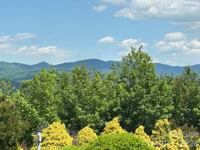 0 Azule Ridge Bostic NC 28018
