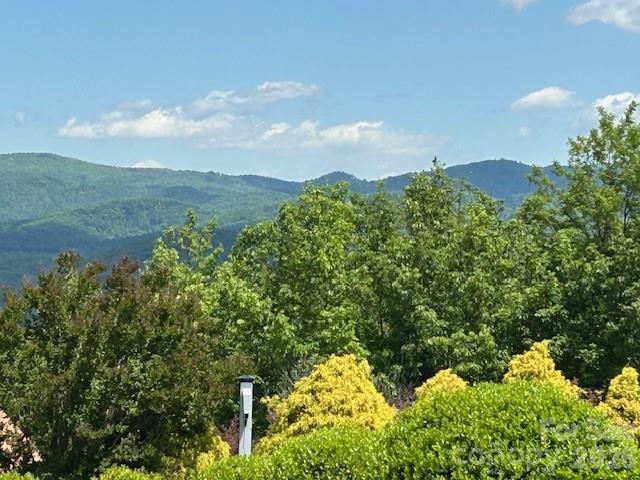 0 Azule Ridge Bostic NC 28018