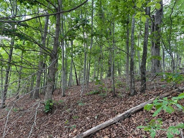 0 Azule Ridge Bostic NC 28018