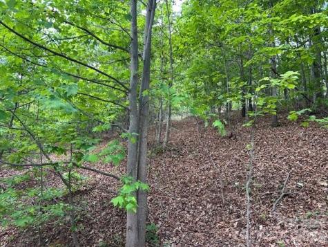0 Azule Ridge Bostic NC 28018