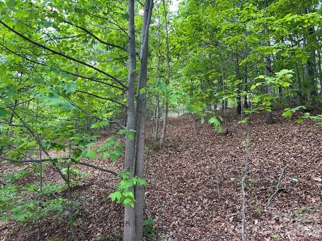 0 Azule Ridge Bostic NC 28018