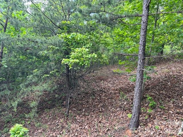 0 Azule Ridge Bostic NC 28018