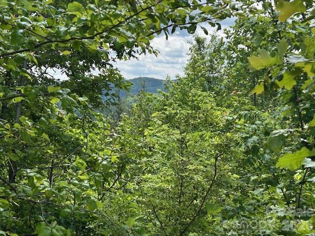 0 Azule Ridge Bostic NC 28018