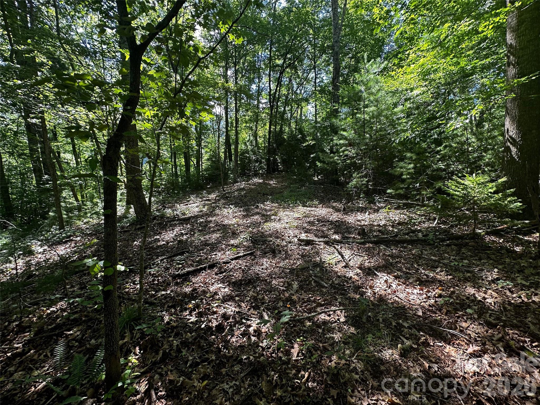 00 Lake Logan Road Canton NC 28716