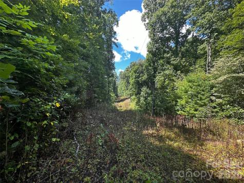 00 Lake Logan Road Canton NC 28716