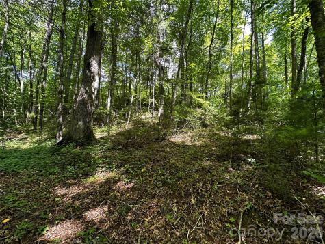 00 Lake Logan Road Canton NC 28716