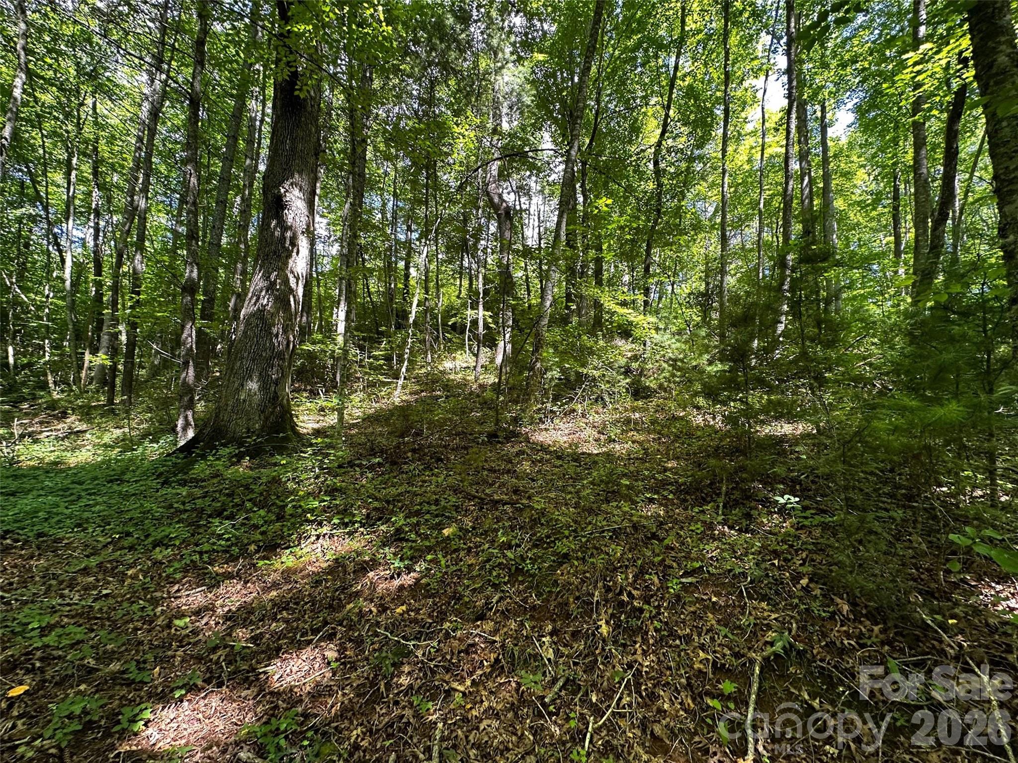 00 Lake Logan Road Canton NC 28716