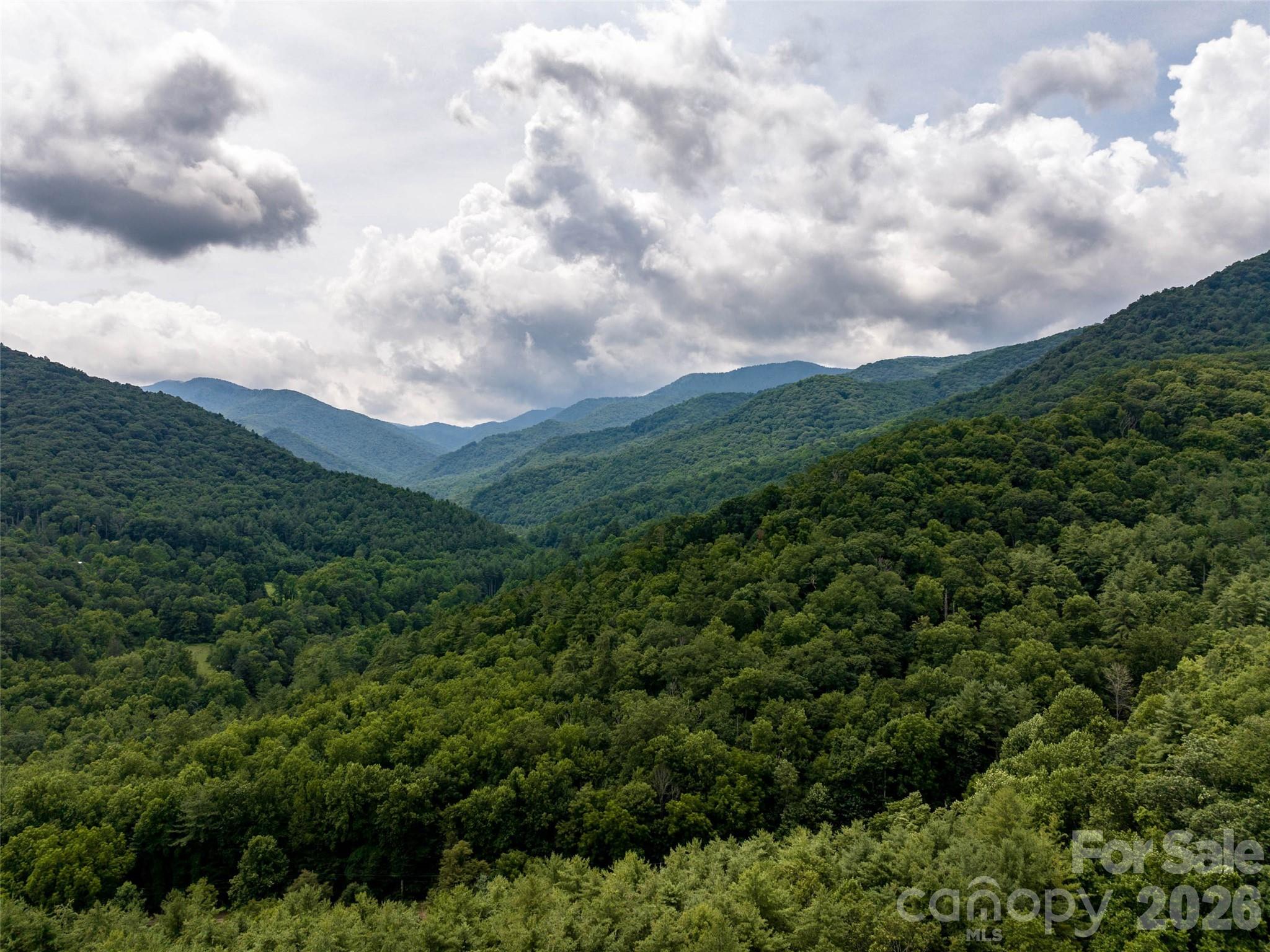 00 Lake Logan Road Canton NC 28716