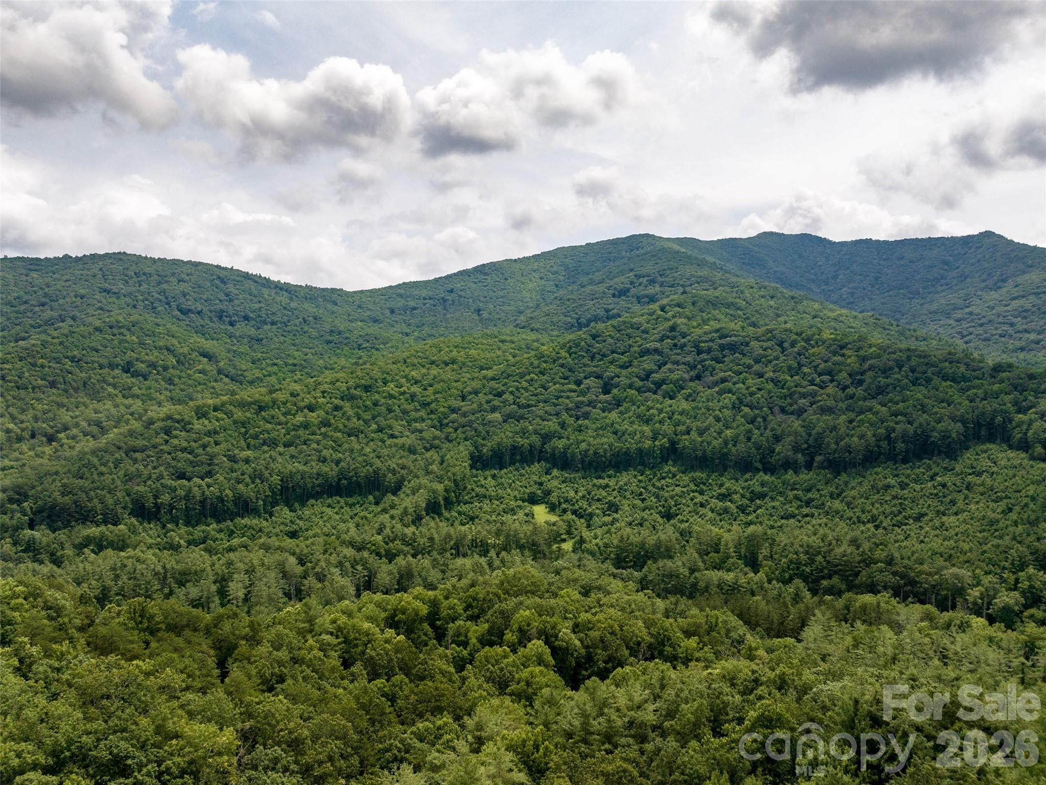 00 Lake Logan Road Canton NC 28716