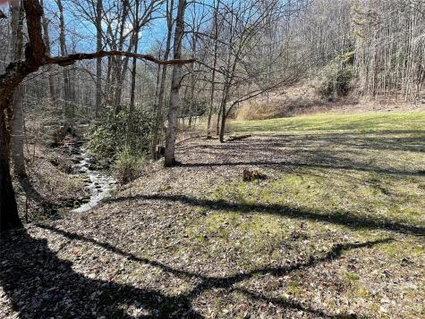81 Peepeye Cove Road Leicester NC 28748