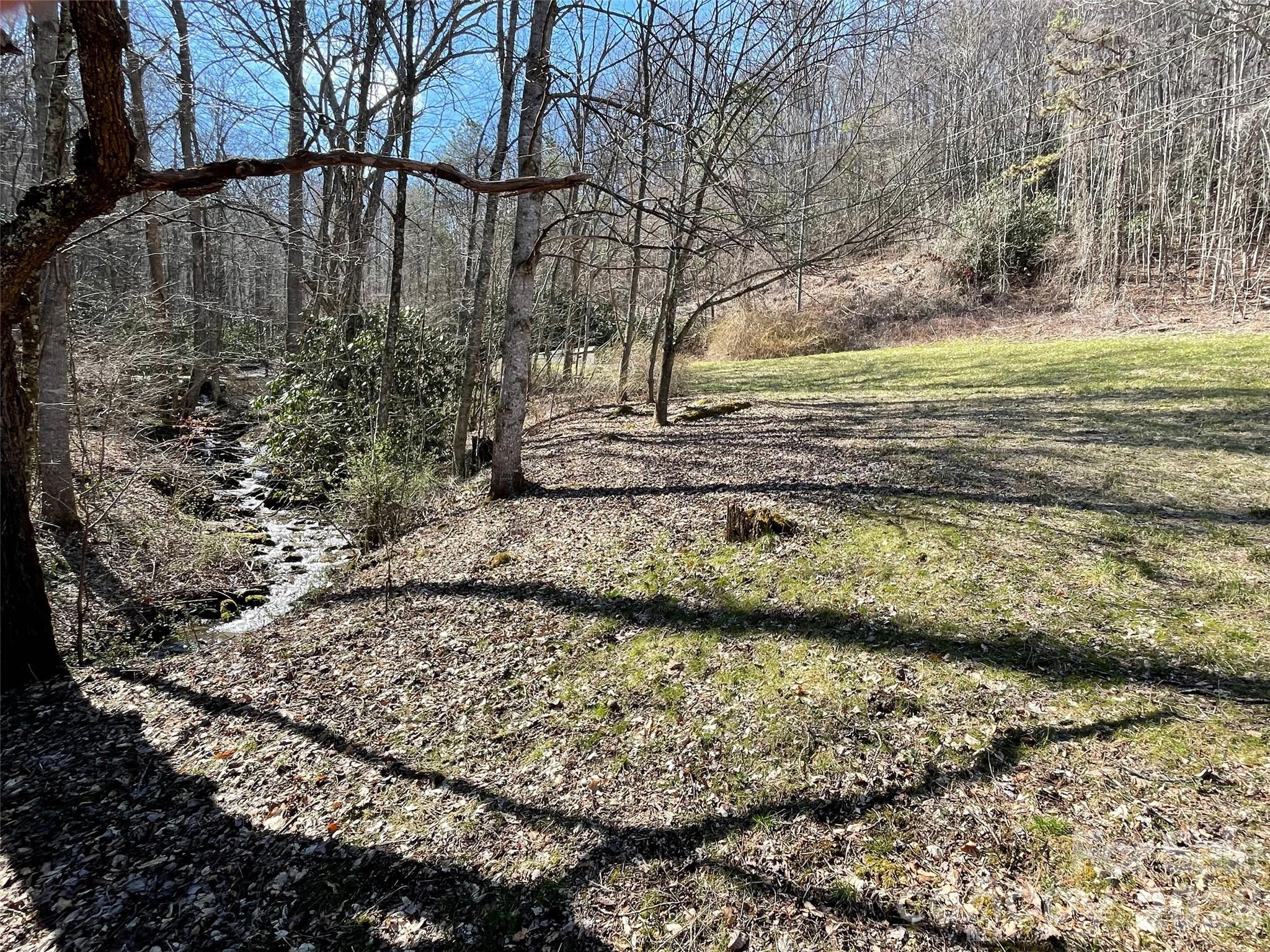 81 Peepeye Cove Road Leicester NC 28748
