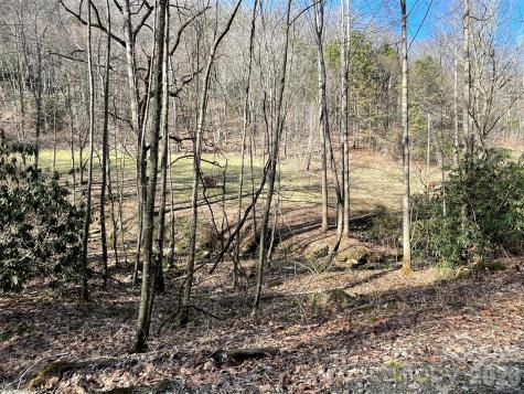 81 Peepeye Cove Road Leicester NC 28748