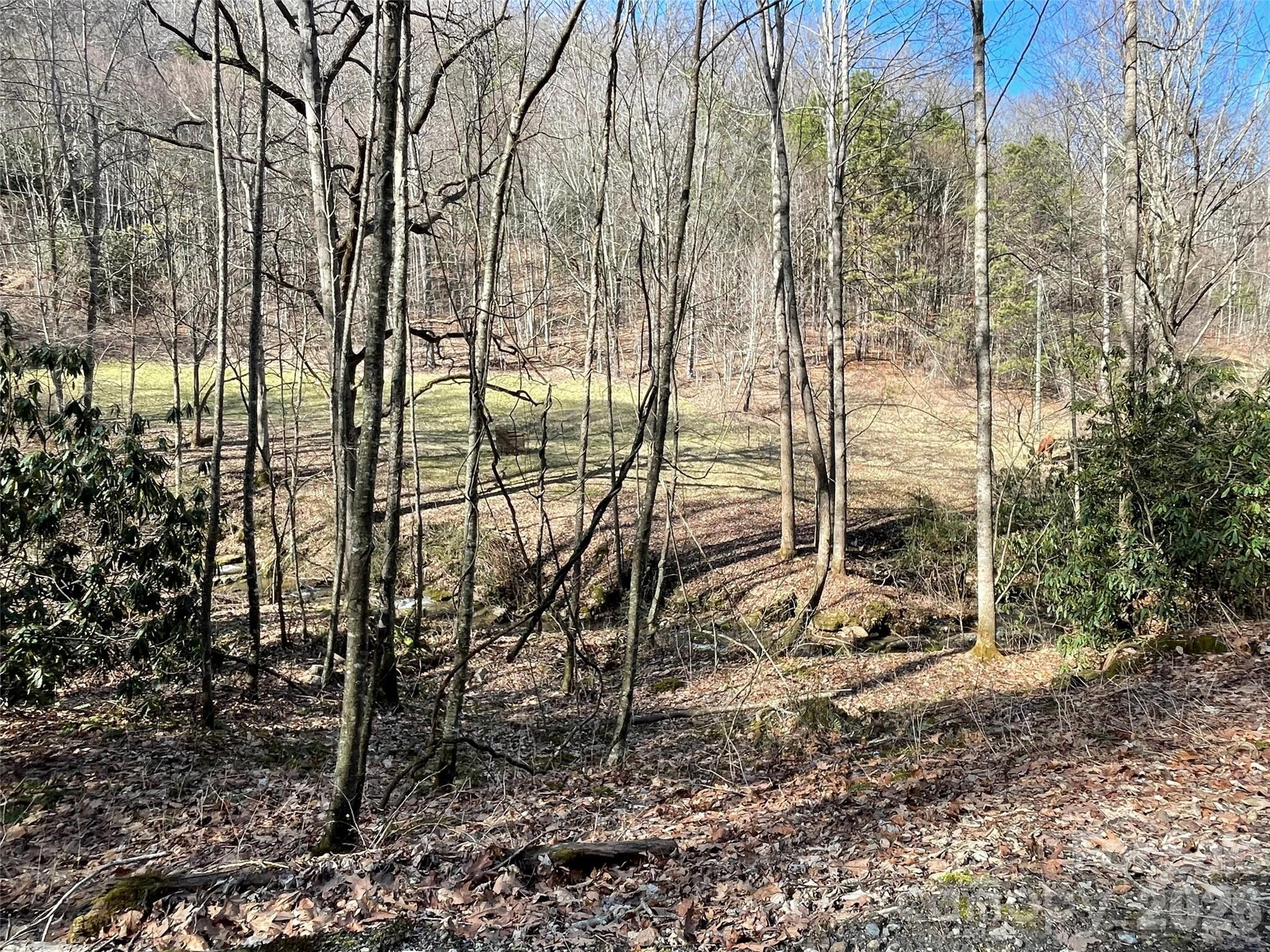 81 Peepeye Cove Road Leicester NC 28748