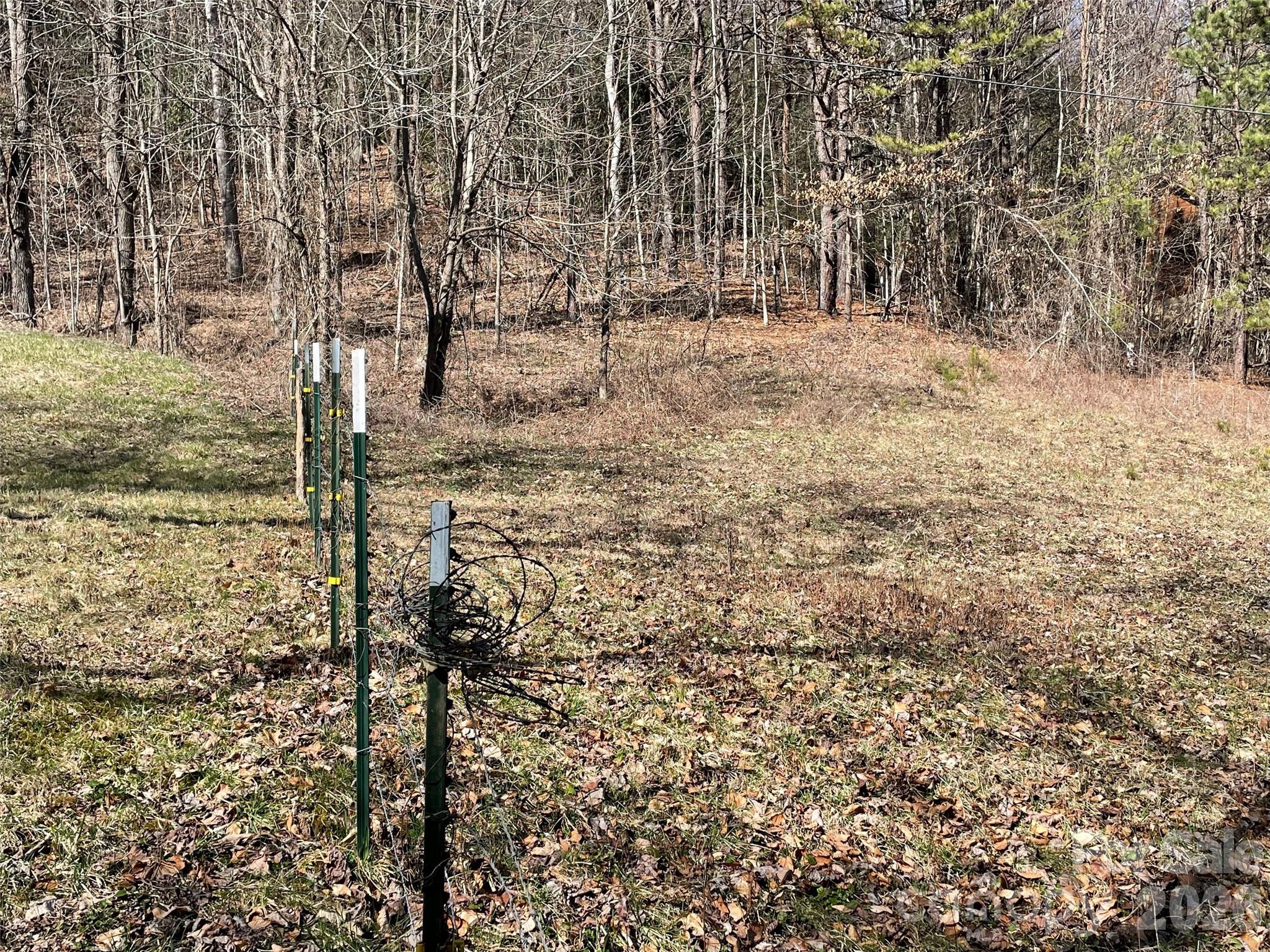 81 Peepeye Cove Road Leicester NC 28748
