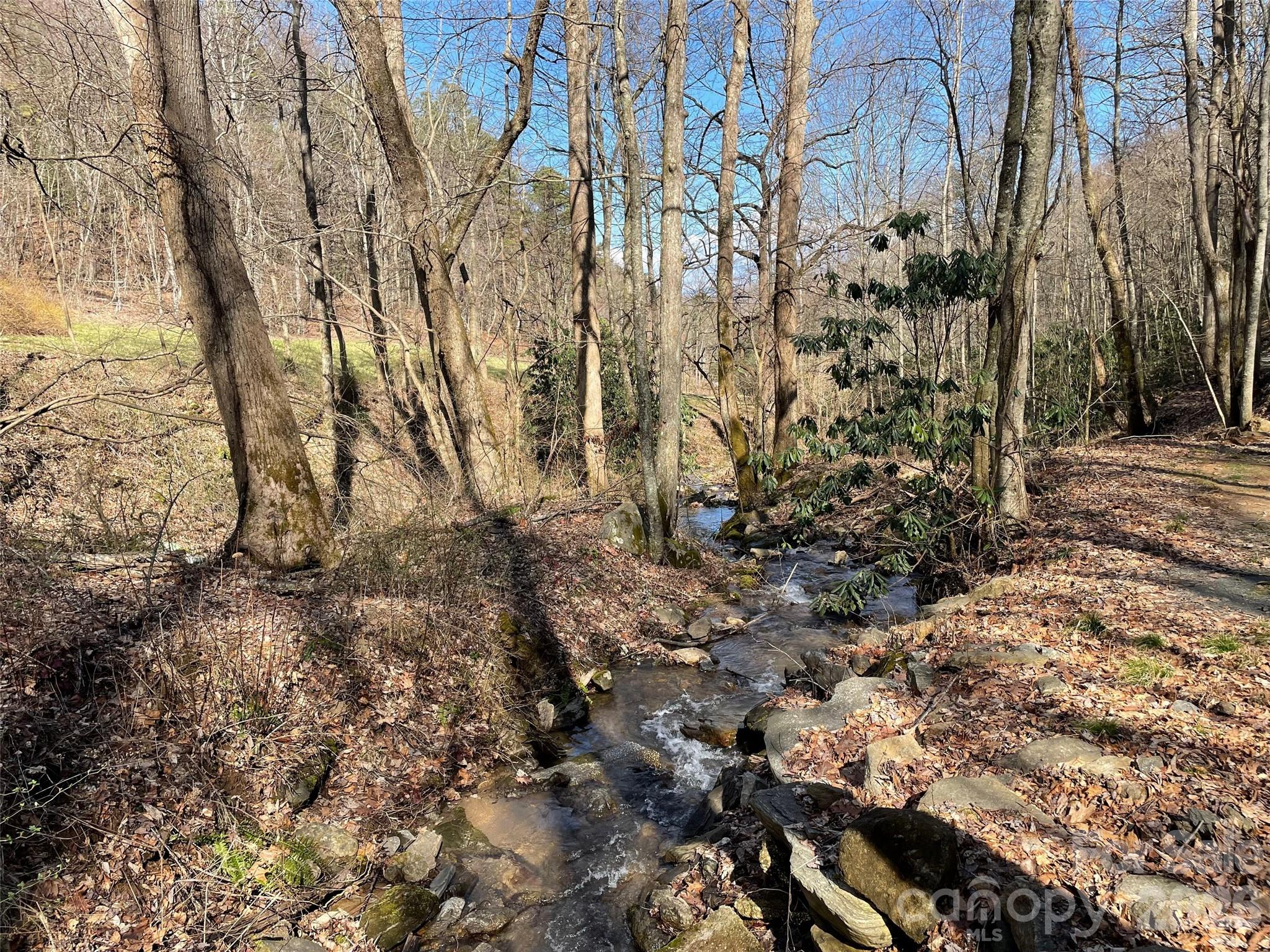 81 Peepeye Cove Road Leicester NC 28748