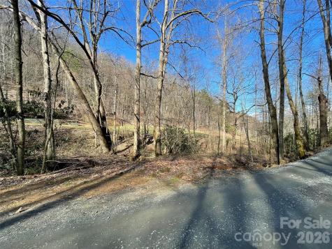 81 Peepeye Cove Road Leicester NC 28748