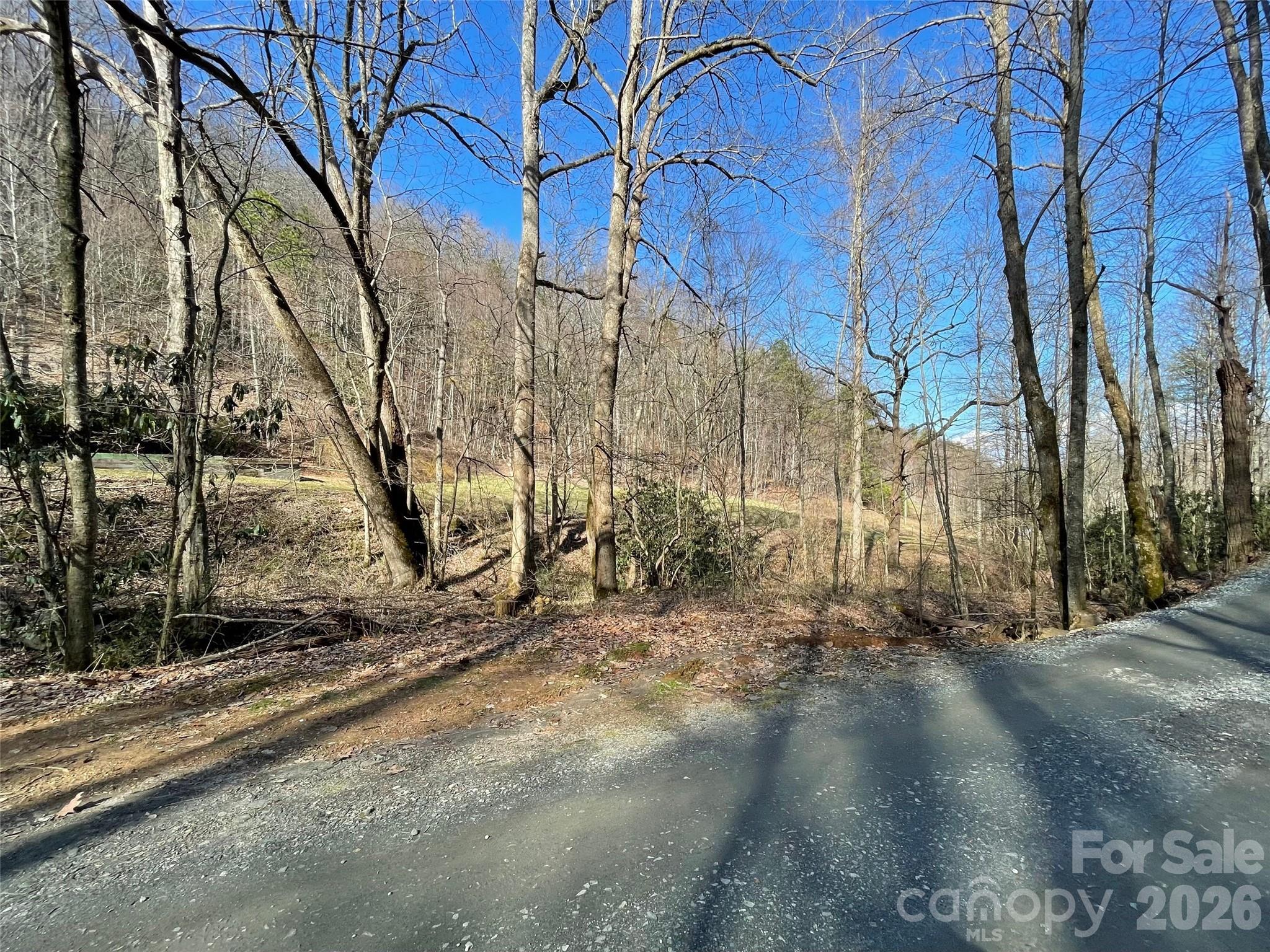 81 Peepeye Cove Road Leicester NC 28748