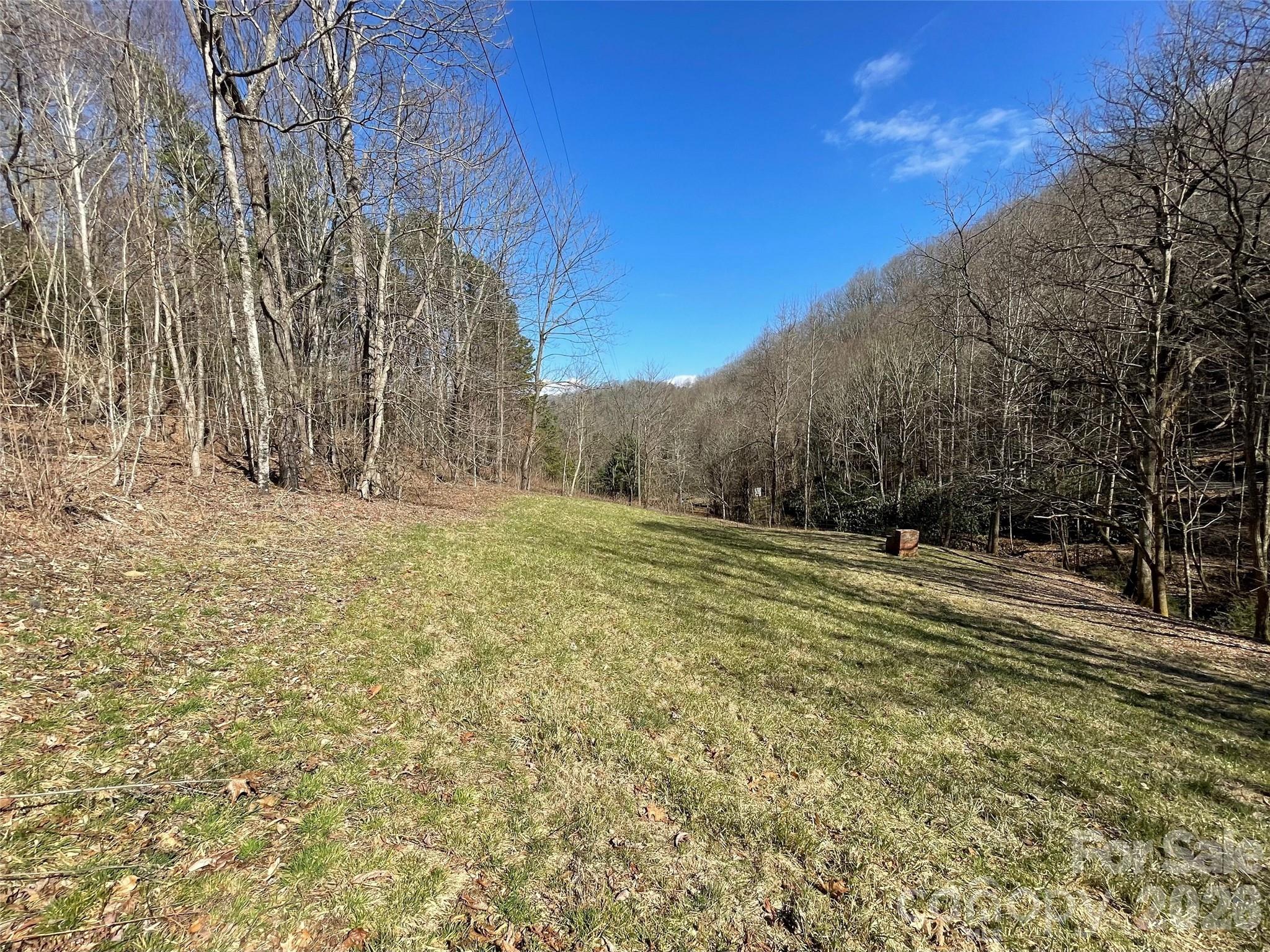 81 Peepeye Cove Road Leicester NC 28748