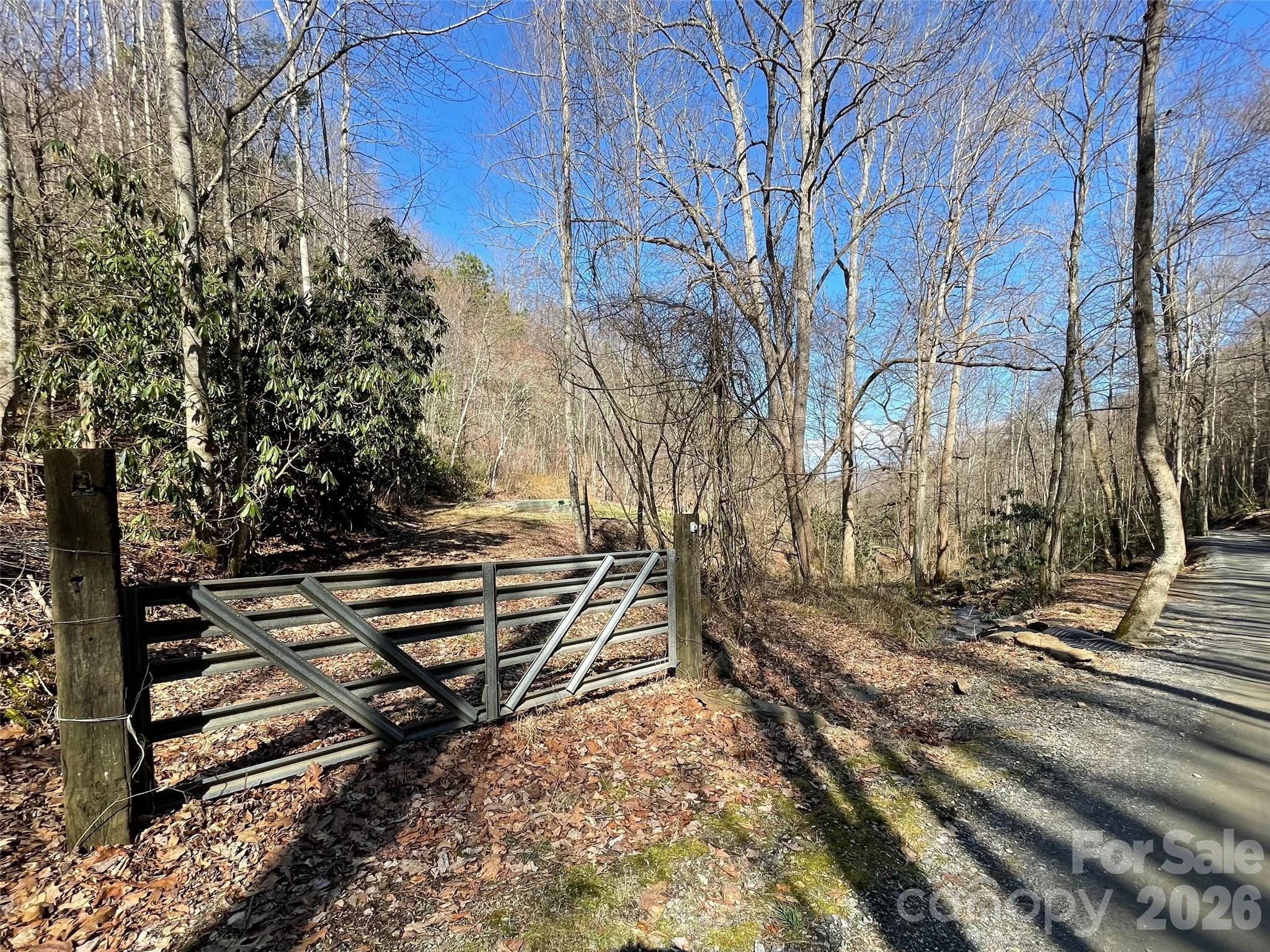81 Peepeye Cove Road Leicester NC 28748
