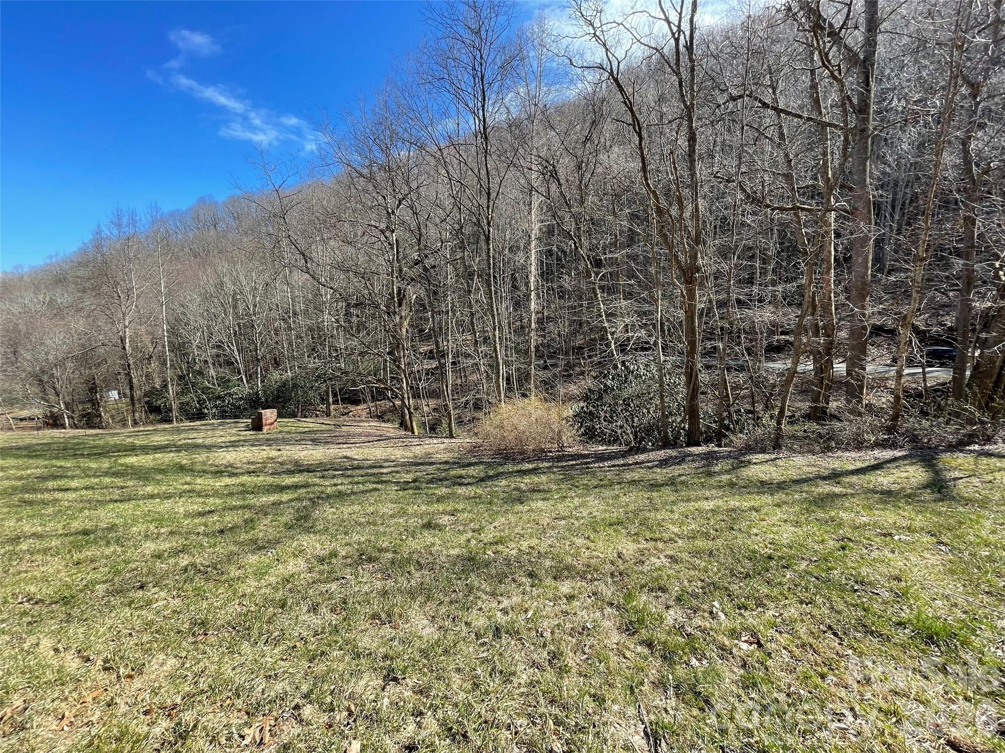 81 Peepeye Cove Road Leicester NC 28748