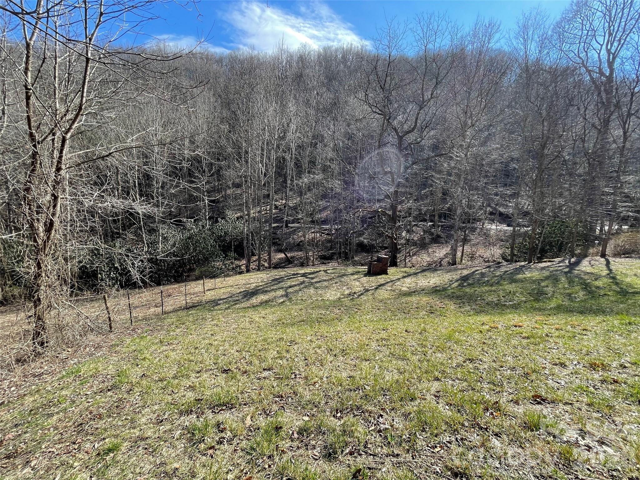 81 Peepeye Cove Road Leicester NC 28748