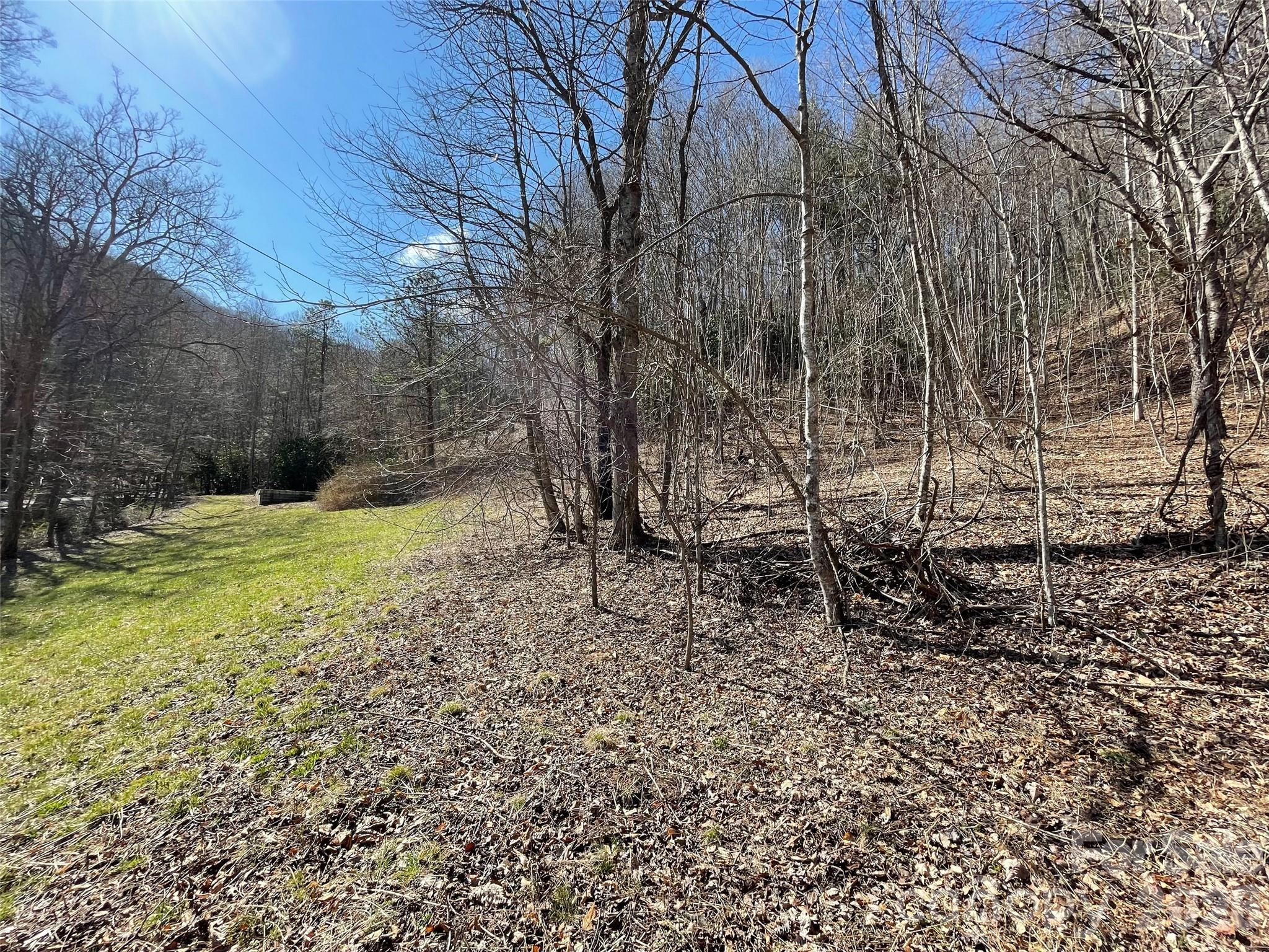 81 Peepeye Cove Road Leicester NC 28748