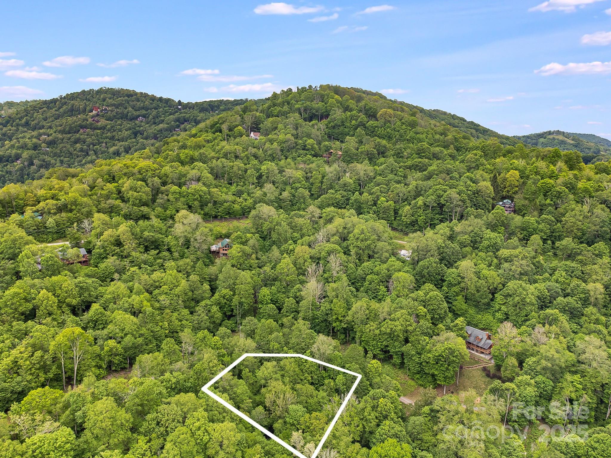 65 Bee Tree Lane Mars Hill NC 28754