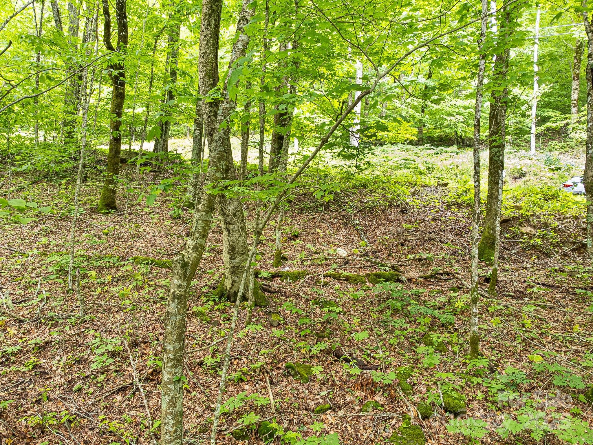 65 Bee Tree Lane Mars Hill NC 28754