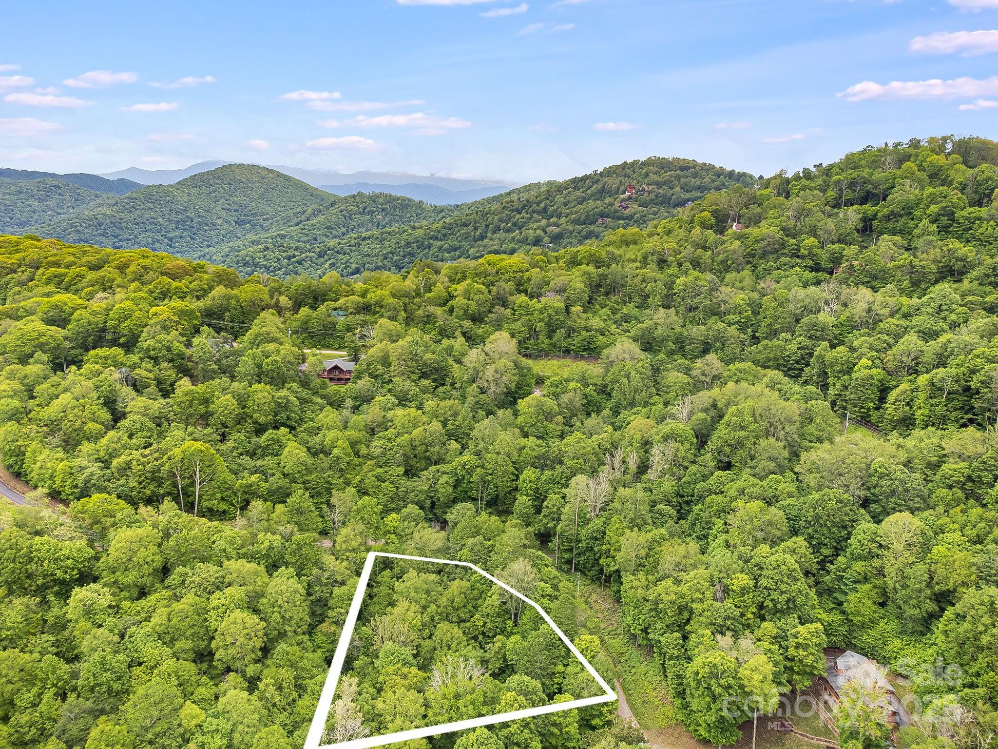 65 Bee Tree Lane Mars Hill NC 28754