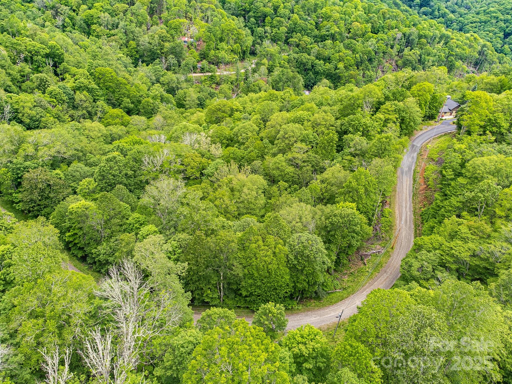 65 Bee Tree Lane Mars Hill NC 28754