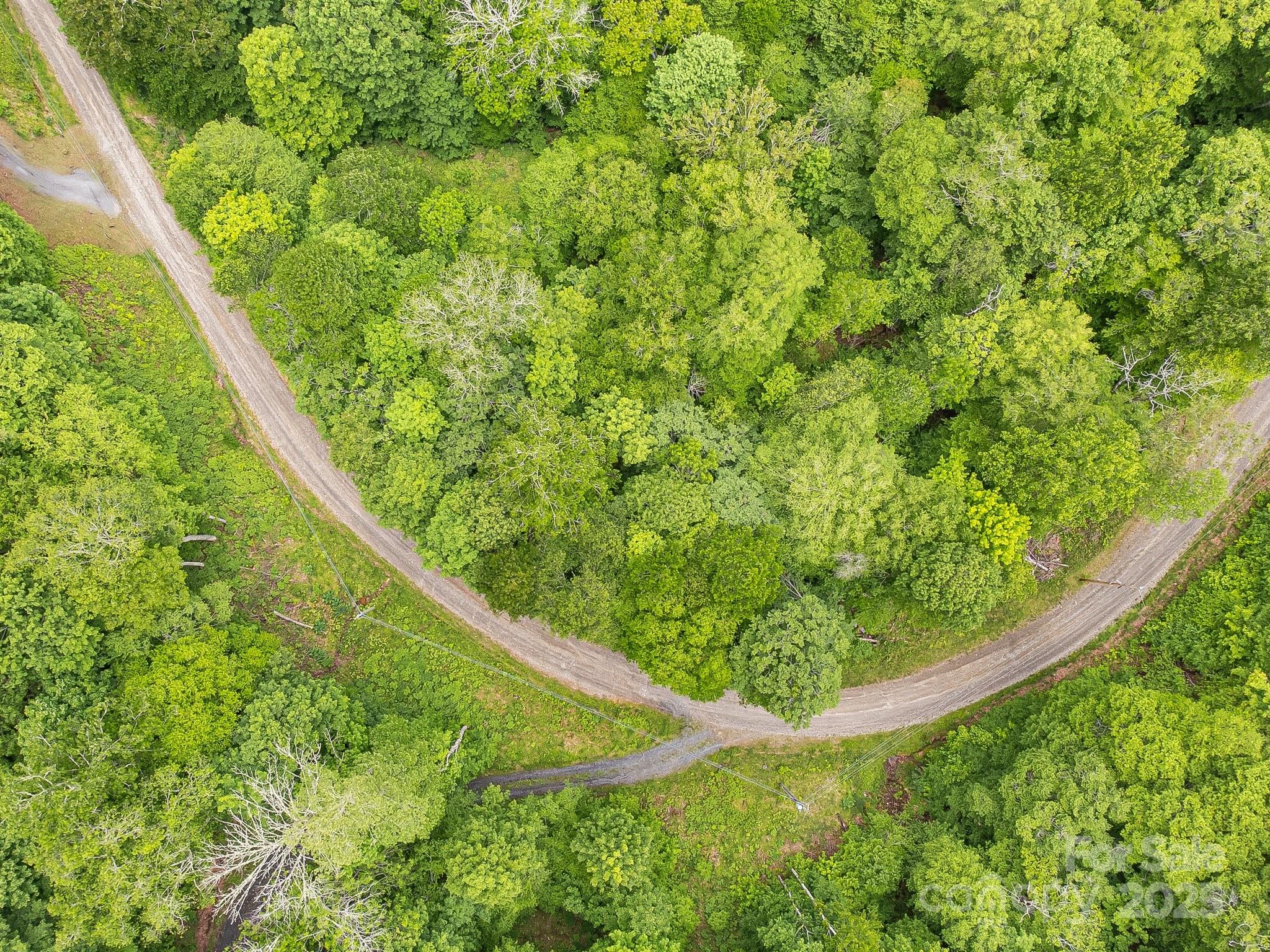65 Bee Tree Lane Mars Hill NC 28754