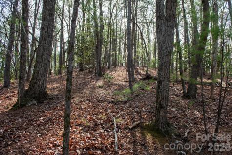 000 Blowing Rock Boulevard Lenoir NC 28645