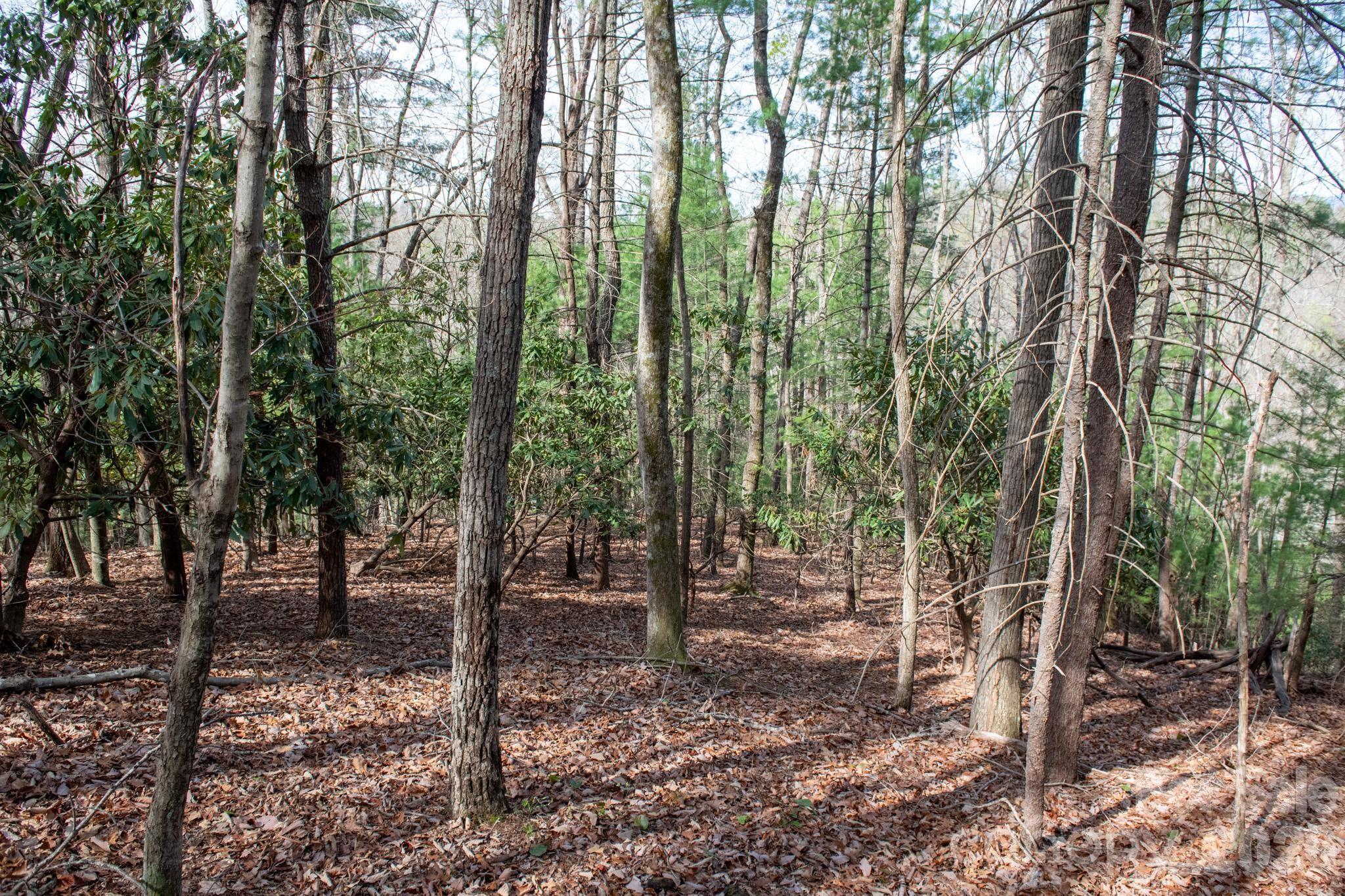 000 Blowing Rock Boulevard Lenoir NC 28645